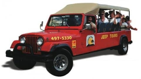 1449527294 carolina safari jeep tours