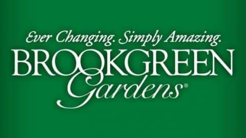 1449527323 brook green gardens